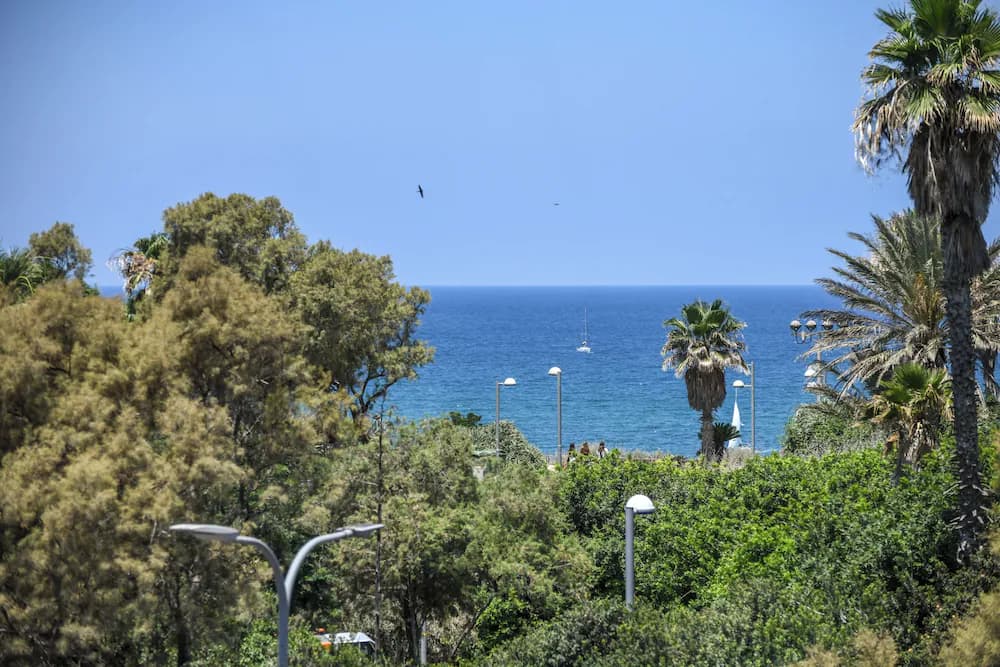 View from room