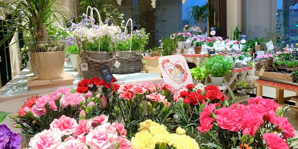 Gift shop