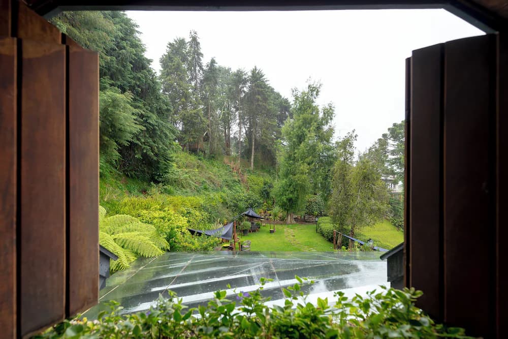 View from room