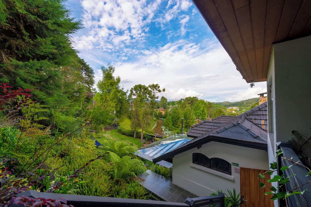 View from room