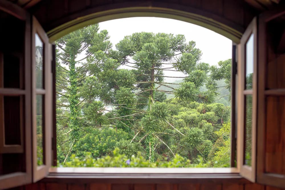 View from room