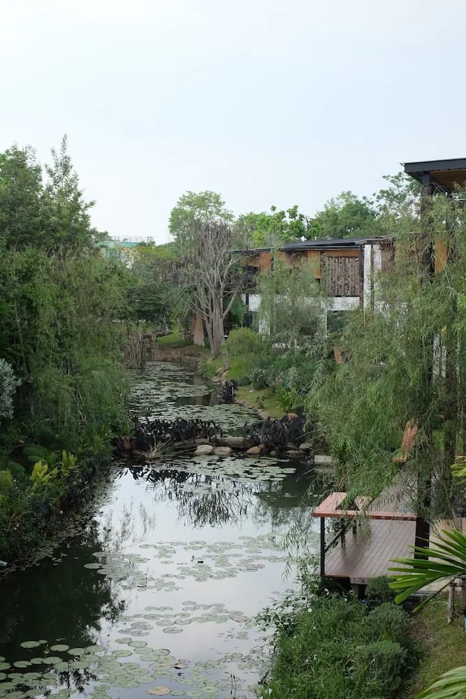 Garden view