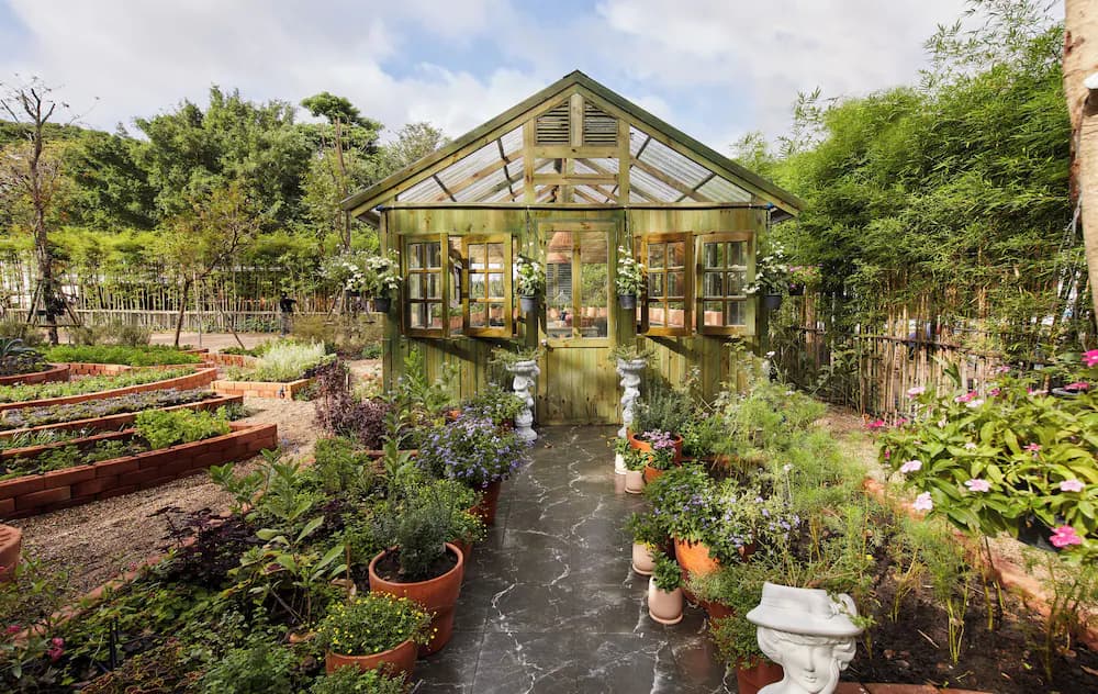 Garden