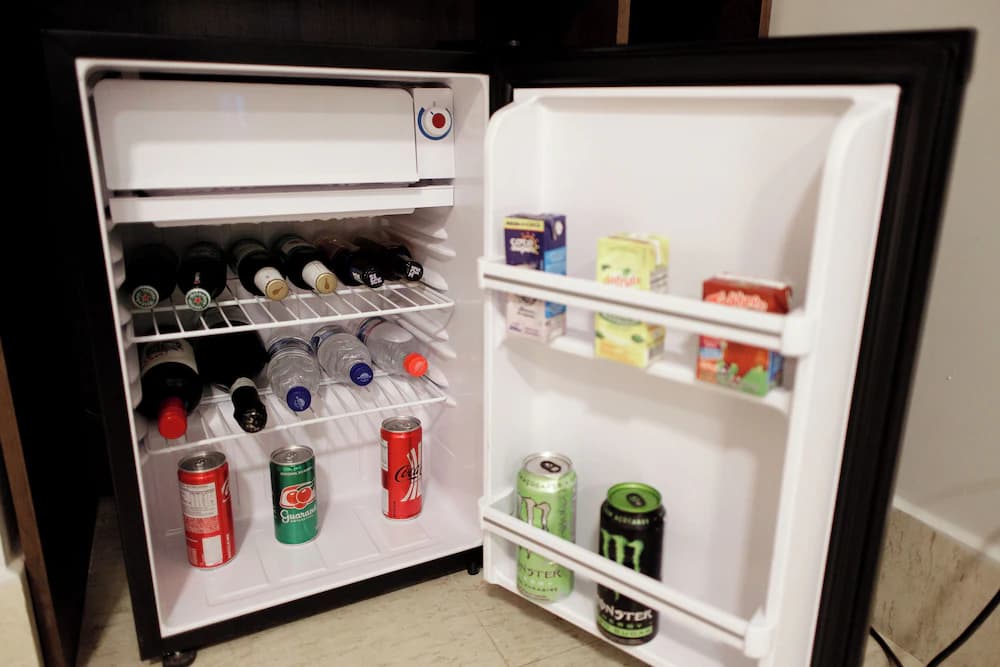 Mini-refrigerator