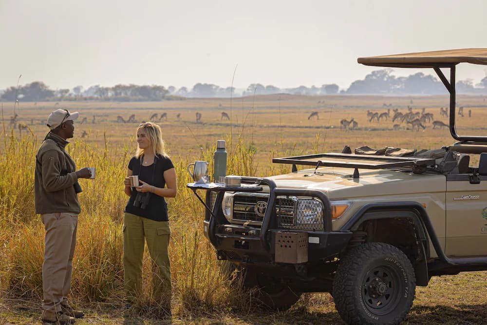 Safari