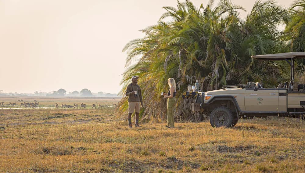 Safari